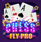 icon Fly Chess Pro